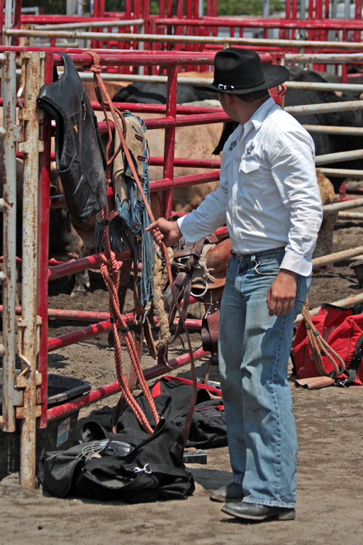 Sizing Up The Bulls.small